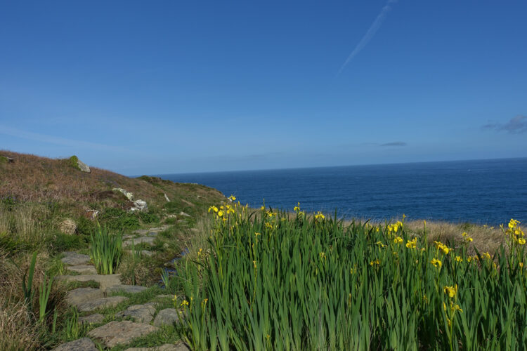 Southwestcoastpath Tag 6 von St. Yves nach Pendeen